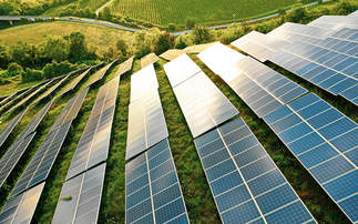 'Basking in a solar surge': UK smashes solar generation record two days in a row