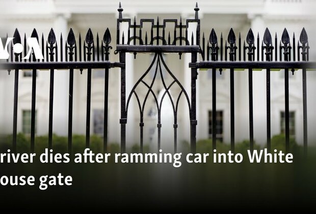 Driver dies after ramming car into White House gate