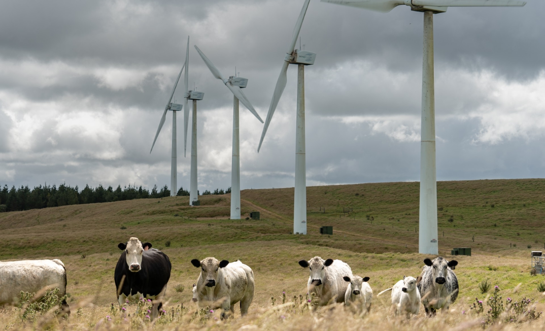 Meridian's acquisition of NZ Windfarms approved by high court