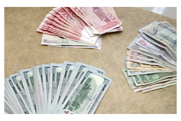 Central banks diversifying forex reserves from USD & Euro to gold and other currencies: CareEdge