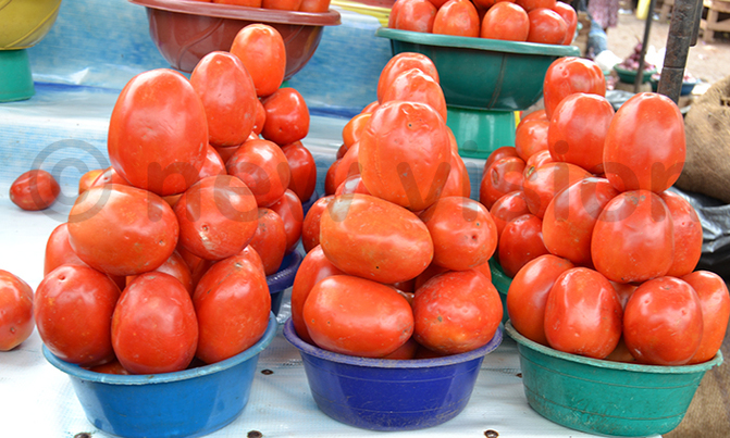 Prices of food crops drop Prices of food crops drop