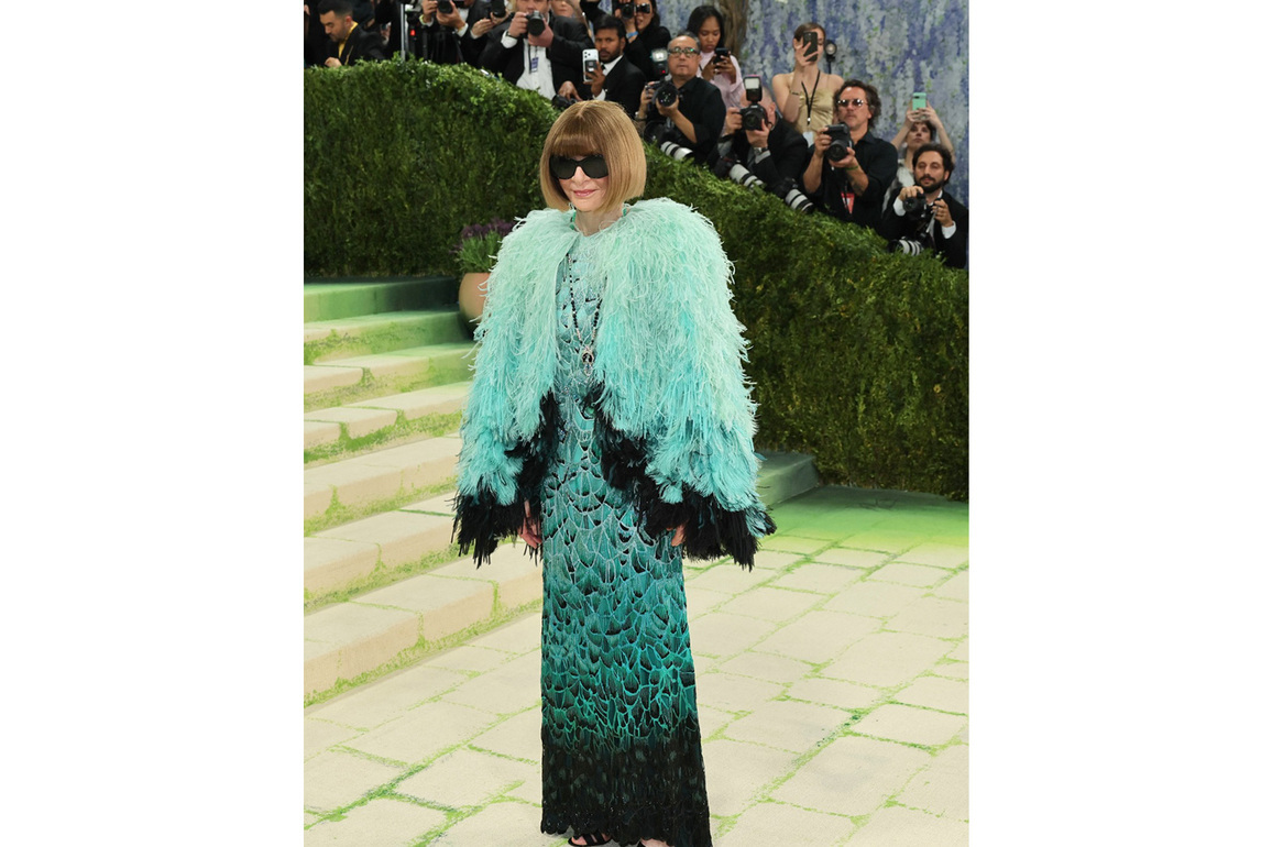 Anna Wintour arrives at Met Gala in feathered look
