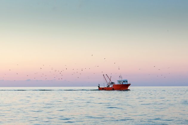 Can countries end overfishing and plastic pollution in just 10 years?