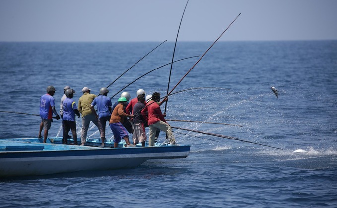 Sainsbury's commits to sustainable tuna sourcing 