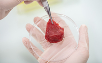 Seven US states announce ban on lab-grown meat production