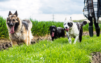 Defra scraps cut-off date for countryside path registration