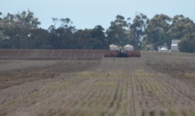  A farm worker death in WA this week has led to a WorkSafe inquiry. Picture Mark Saunders.