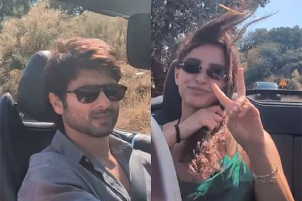 Shahid Kapoor drives through Spain with co-stars Triptii Dimri, Avinash Tiwary; watch