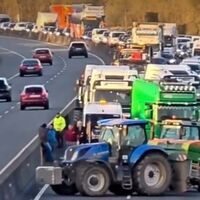 Understand reasons for protests, Ireland’s agriculture minister says 