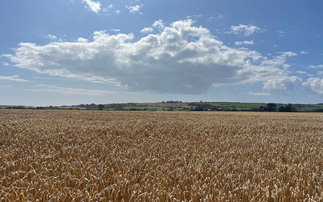 Belter barley lives up to its name with impressive yields on East Lothian farm