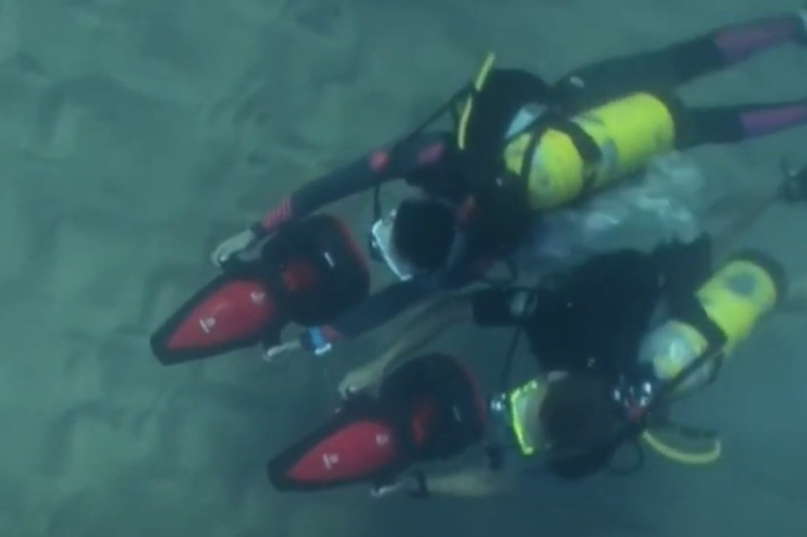 Calif. man pleads guilty to Ponzi scheme after attempting underwater evasion