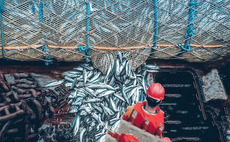 FSN Capital acquires majority stake in Mørenot
