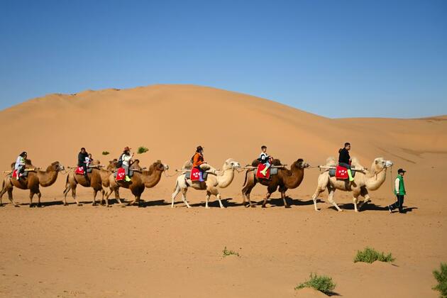Transformed NW China desert region emerges as travel hotspot