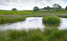 Farming with nature: Getting to grips with trading natural capital