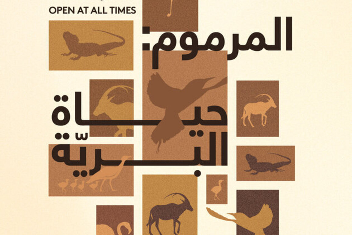 Dubai Culture launches environmental photography exhibition in Al Marmoom Desert Conservation Reserve