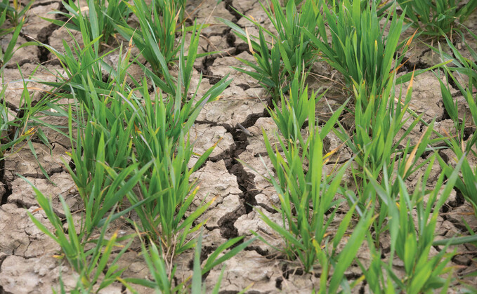 Yorkshire second region in England to move into drought status