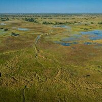 Earth's seasonal rhythms are changing, putting species and ecosystems at risk