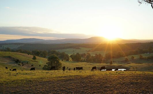 Peak farming bodies have reiterated fears farmers may have to sell farmland to pay tax bills if proposed changes to superannuation are passed in the Senate. 