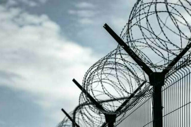 Half of Russians favor return of death penalty - poll