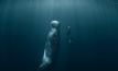 A sperm whale and freediver. If nodule mining develops, deep-diving whales like the sperm whale could be impacted, according to DSMC. Image: Willyam / Adobe