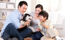 China's pet products industry: Paws for thought