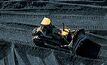 NRP on earnings high from met coal prices