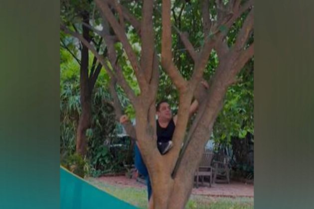 Salman Khan effortlessly climbs tree, shuts down trolls for questioning his fitness