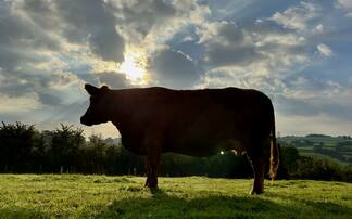 Farming Britain previews 'new community space' for farmers to tell their story about food and the countryside