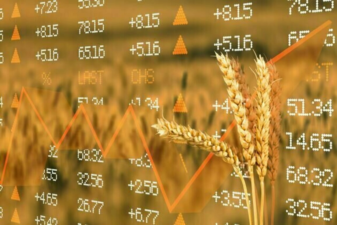 Why Donald Trump's trade tariffs are a threat to global food security