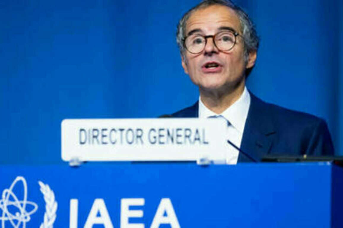 Iran could rebuild nuclear program within months - IAEA chief
