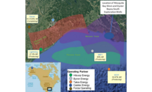 Otto makes significant gas-condensate discovery 