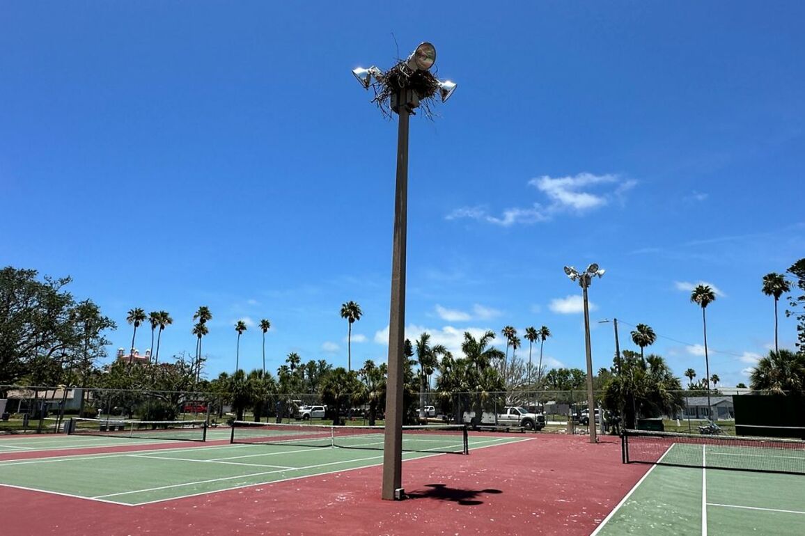 St. Pete Beach lighting project works around osprey nest