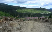 First drilling in five years set to start at Decar nickel prospect in central BC