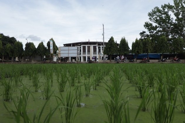 Magsaysay town farmers start cultivating idle lands