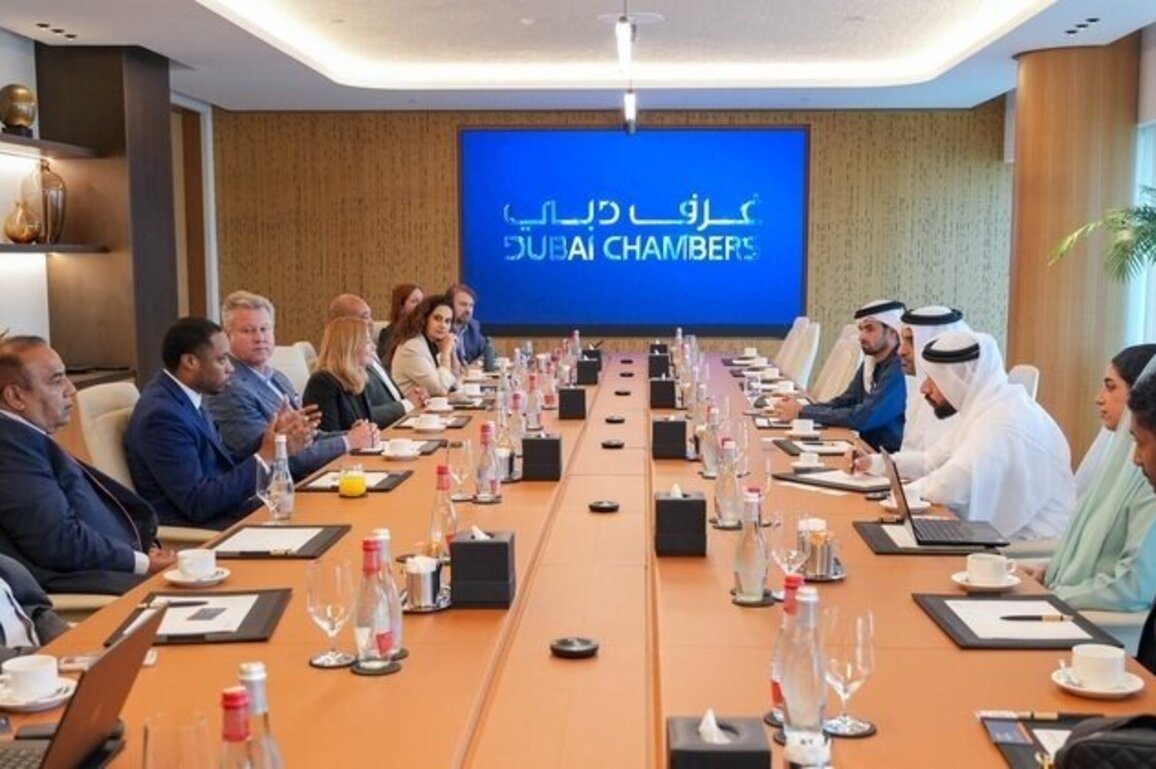 Dubai Chambers explores expanding business cooperation with Illinois