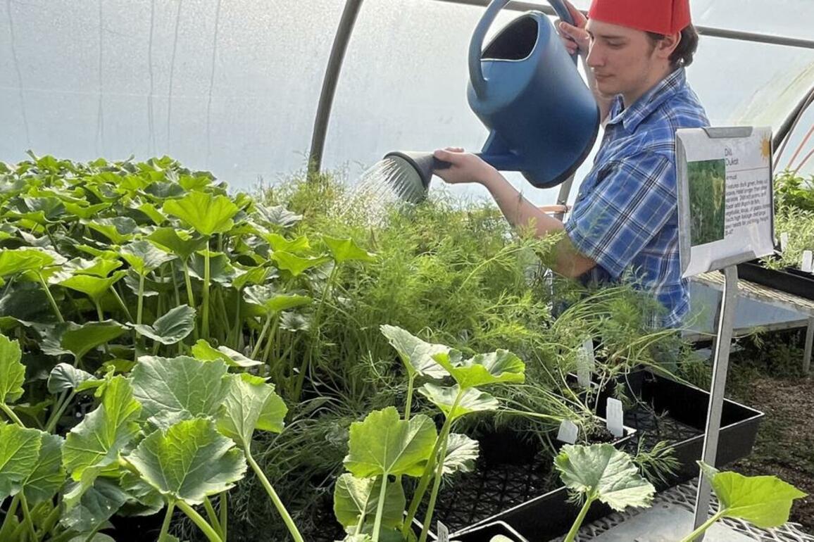 EA FFA members, woodworking students learn through spring farmers market - Ascension