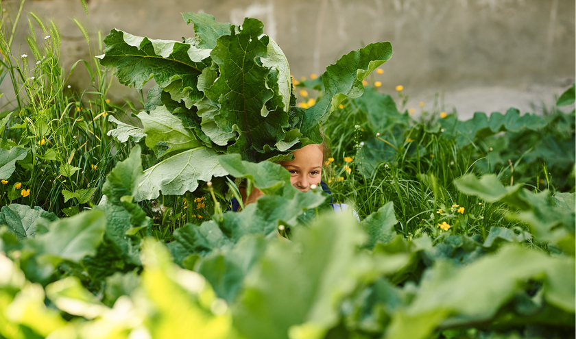 © Kateryna Mazur/Shutterstock