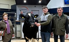 British Friesian bull sets new record at Carlisle