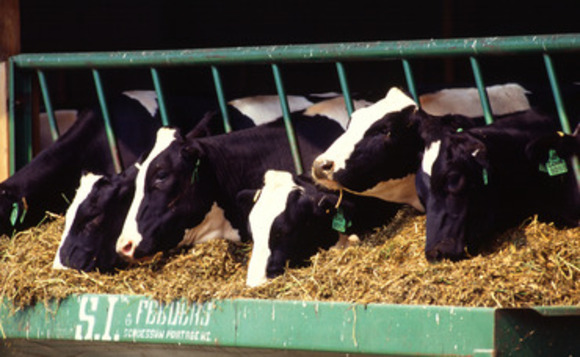 National Food Strategy calls for major cut in UK meat consumption to fix public and planetary health