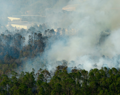 Insurers power climate transition