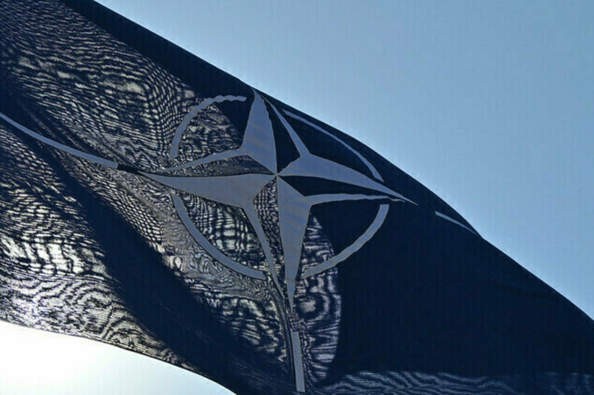 European NATO states have no political will  US envoy