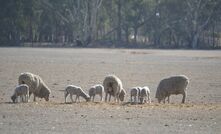 The Victorian Government has delayed its plan to slug the state's drought-affected farmers an extra 150 per cent in emergency services fees. 