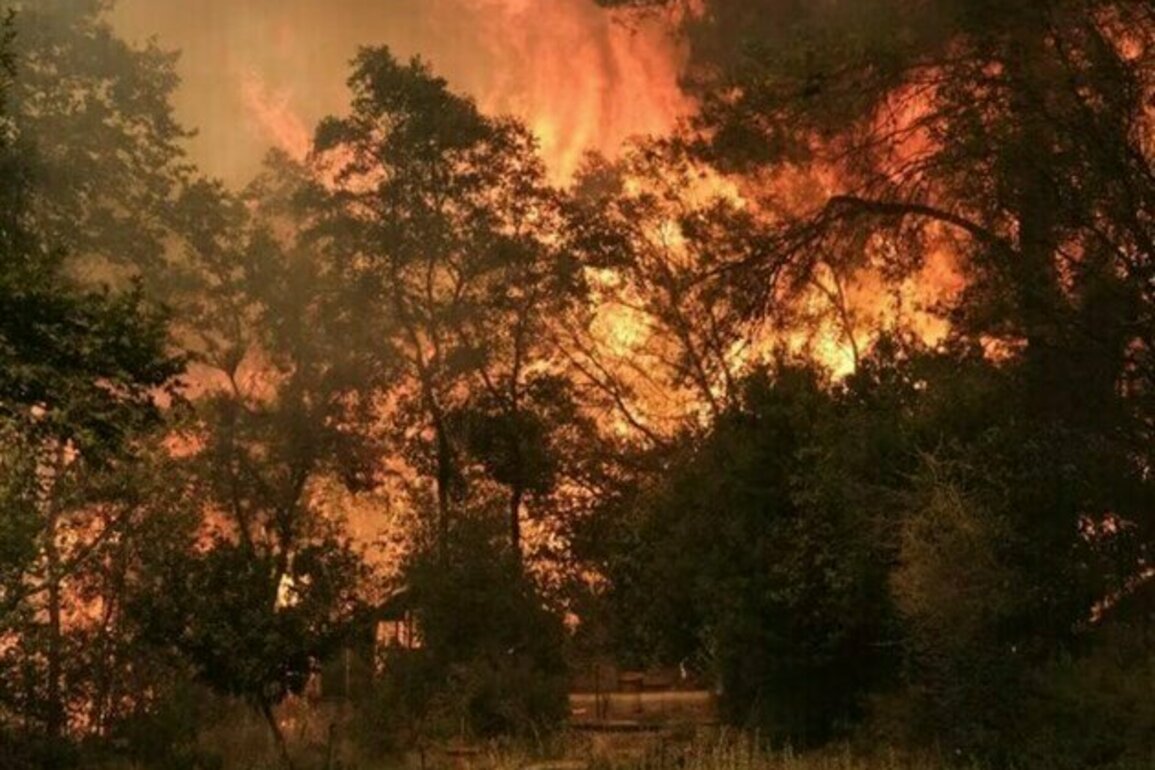 Greek Firefighters Make Progress against Wildfires