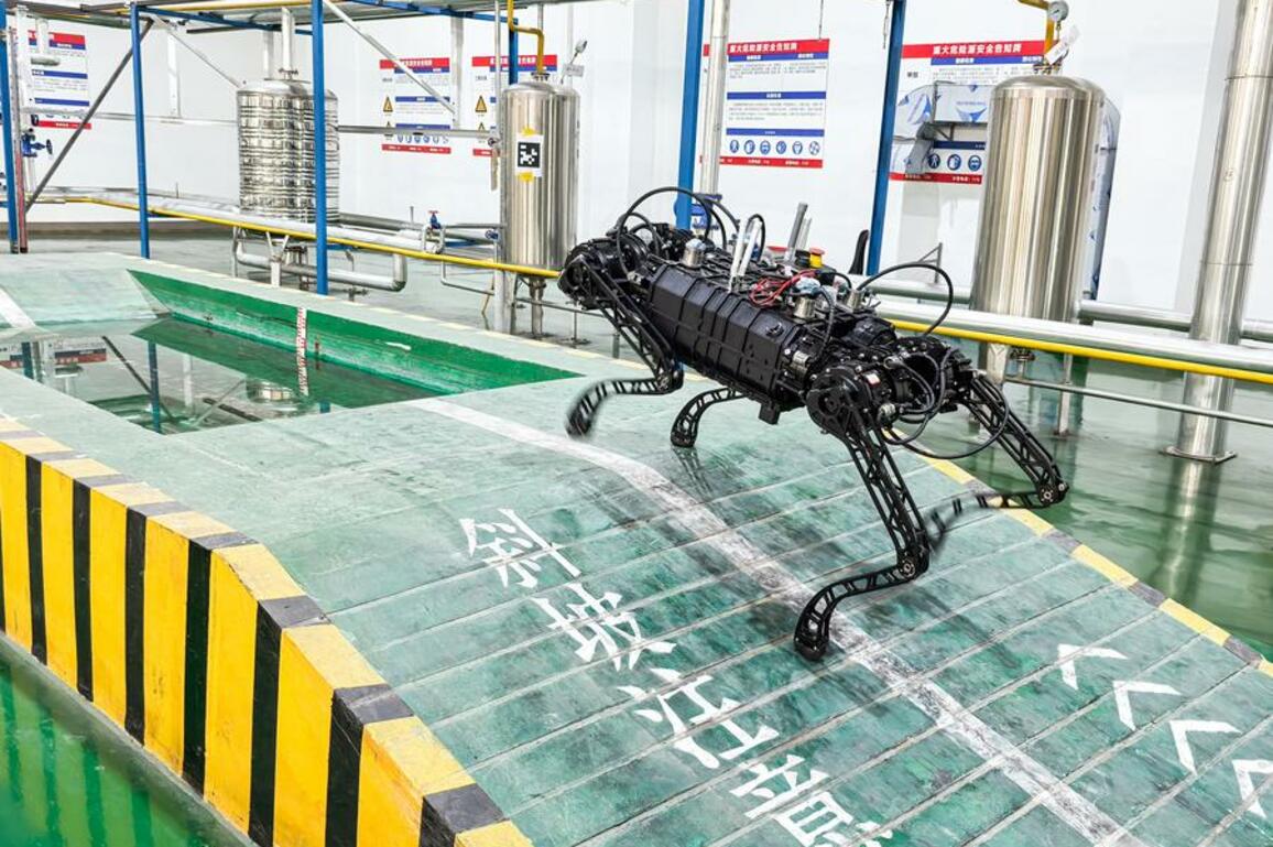 Technology | China's Chongqing advances high-quality development of robot industry