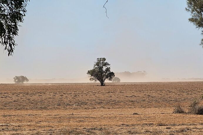 Wind erosion risk remains closely tied to groundcover levels, with bare or lightly covered soils most vulnerable to particle movement and dust loss.