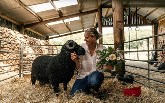 A blossoming floristry business at a farm in Denbighshire 