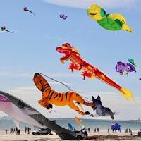 Album: Colorful, creative kites fly over Adelaide