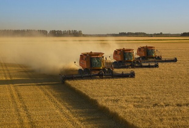 Senators call for opening fallow US land to crops amid Ukraine crisis