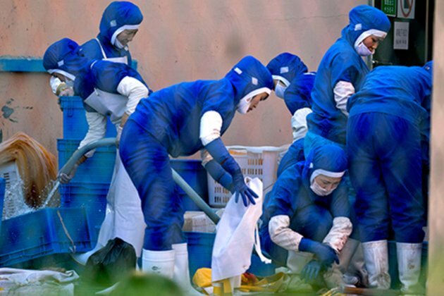 North Korean Workers Stranded in China After Being Idled by COVID-19