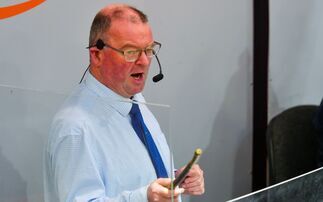 2001 UK foot-and-mouth outbreak - 25 years on: "It was the worst time of my life"